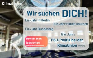 Stellenausschreibung Freiwilliges Soziales Jahr